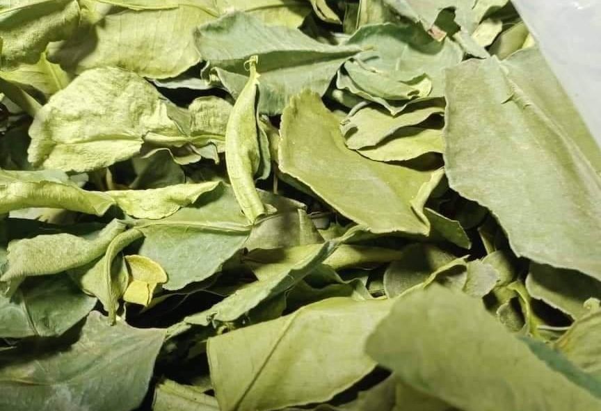 dried kaffir lime leaves