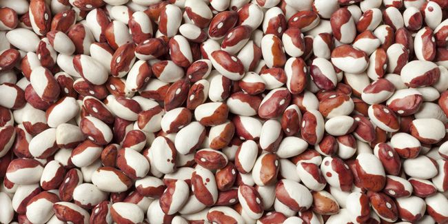 Anasazi beans
