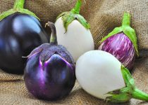 eggplant image