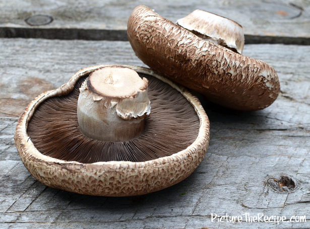 Portobello-Mushroom