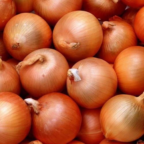 brown-onions