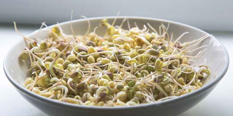 bean sprouts in bowl-cookingthursday.com