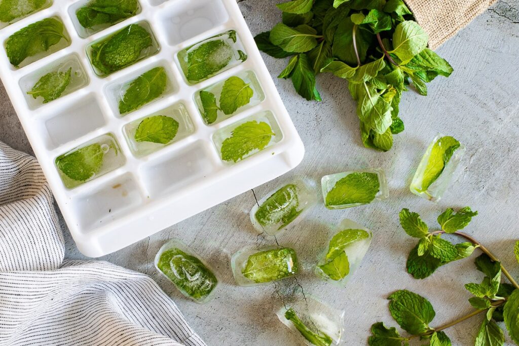 How-to-Freeze-Mint-at-Home in ice cube tray easily-cookingthursday.com